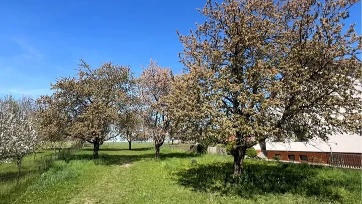 Pozemek 1 213 m² v Kozojídkách u Vinar